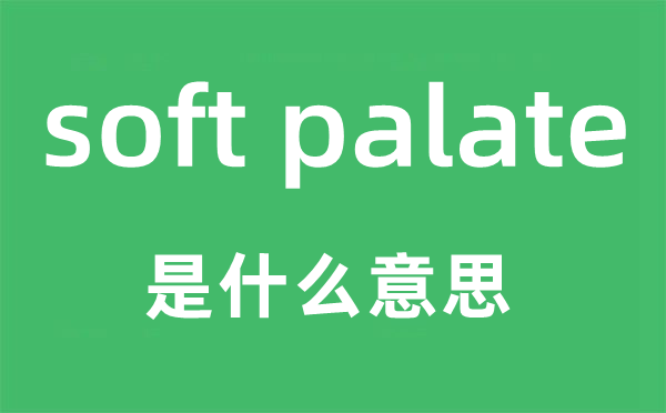 soft palate是什么意思,中文翻译是什么