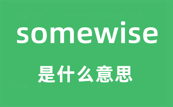 somewise是什么意思,somewise怎么读,中文翻译是什么