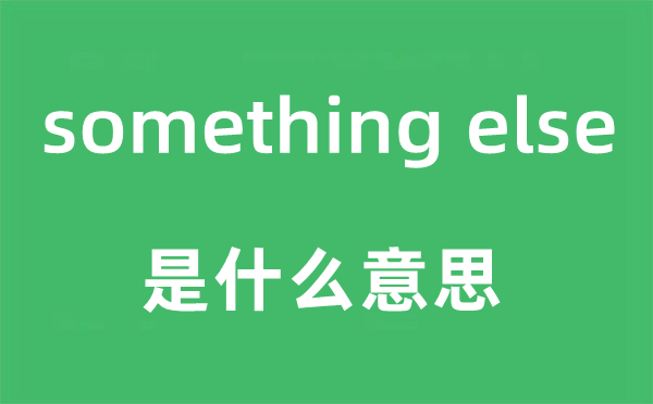 something else是什么意思,中文翻译是什么