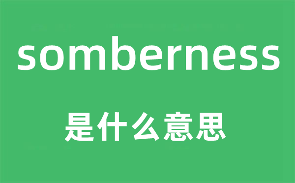 somberness是什么意思,somberness怎么读,中文翻译是什么