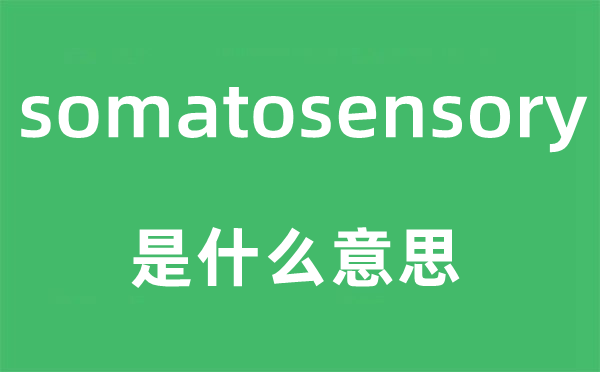 somatosensory是什么意思,somatosensory怎么读,中文翻译是什么