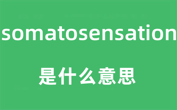 somatosensation是什么意思,somatosensation怎么读,中文翻译是什么