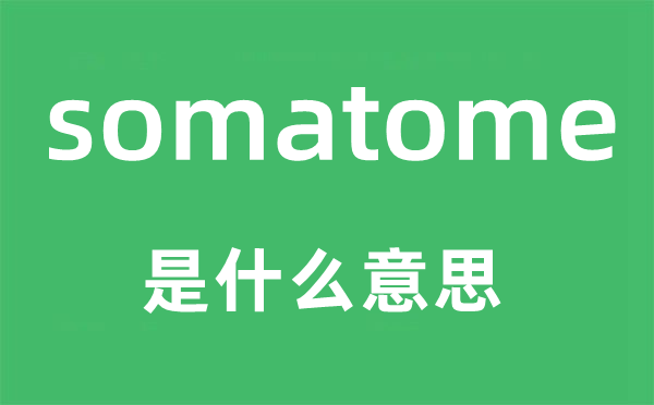 somatome是什么意思,somatome怎么读,中文翻译是什么