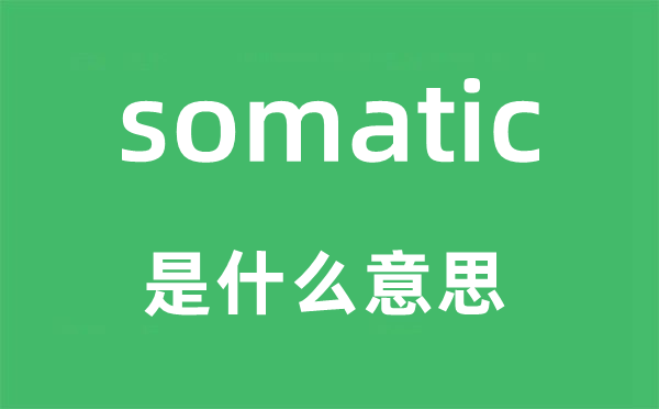 somatic是什么意思,somatic怎么读,中文翻译是什么