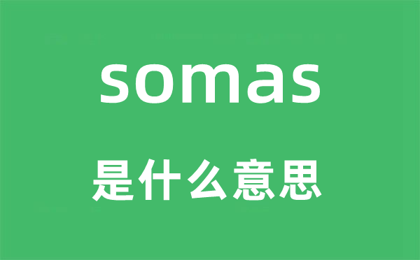 somas是什么意思,somas怎么读,中文翻译是什么