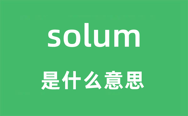 solum是什么意思,solum怎么读,中文翻译是什么