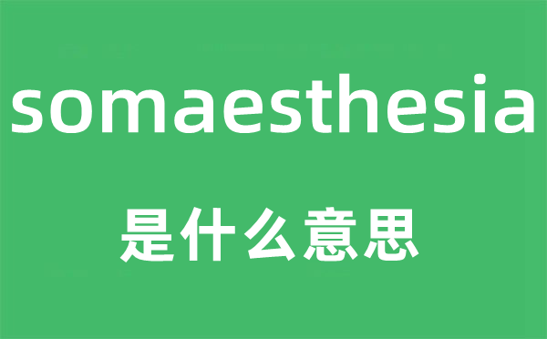 somaesthesia是什么意思,somaesthesia怎么读,中文翻译是什么