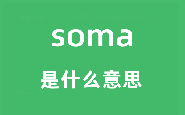 soma是什么意思,soma怎么读,中文翻译是什么