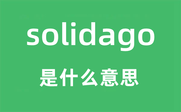 solidago是什么意思,solidago怎么读,中文翻译是什么