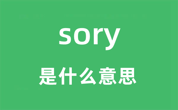 sory是什么意思,sory怎么读,中文翻译是什么