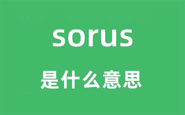 sorus是什么意思,sorus怎么读,中文翻译是什么