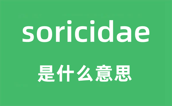 soricidae是什么意思,soricidae怎么读,中文翻译是什么