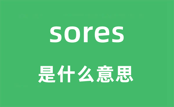 sores是什么意思,sores怎么读,中文翻译是什么