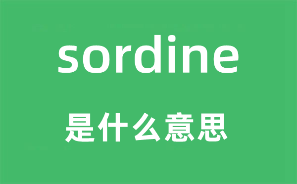 sordine是什么意思,sordine怎么读,中文翻译是什么