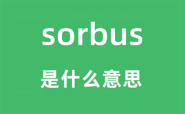 sorbus是什么意思,sorbus怎么读,中文翻译是什么