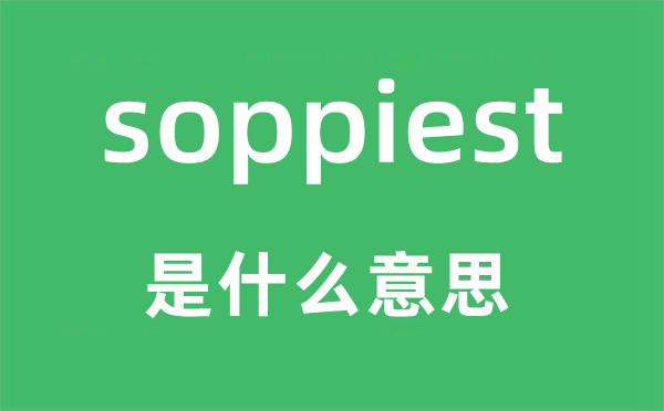 soppiest是什么意思,soppiest怎么读,中文翻译是什么