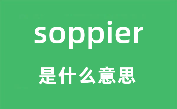 soppier是什么意思,soppier怎么读,中文翻译是什么