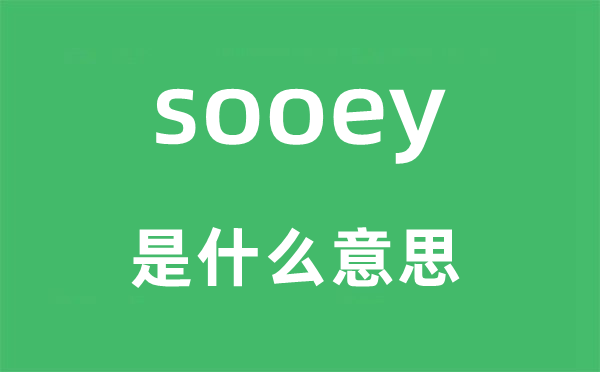 sooey是什么意思,sooey怎么读,中文翻译是什么