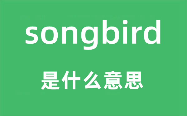 songbird是什么意思,songbird怎么读,中文翻译是什么