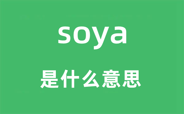 soya是什么意思,soya怎么读,中文翻译是什么