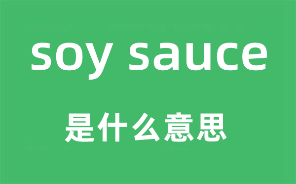 soy sauce是什么意思,中文翻译是什么