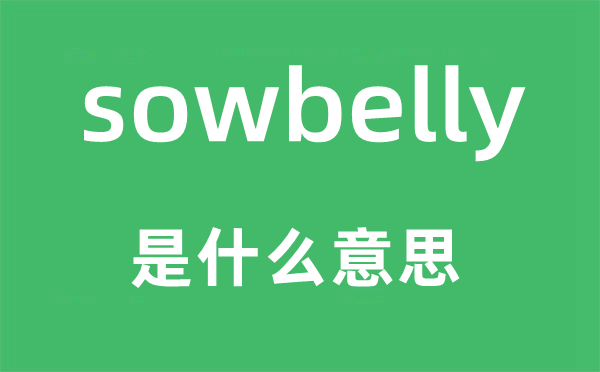 sowbelly是什么意思,sowbelly怎么读,中文翻译是什么