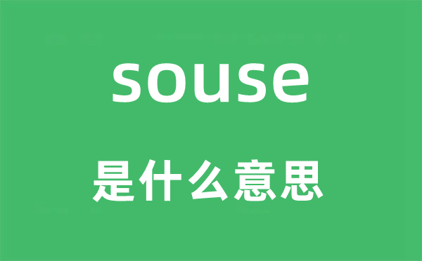 souse是什么意思,souse怎么读,中文翻译是什么