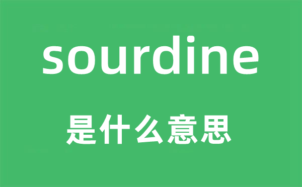 sourdine是什么意思,sourdine怎么读,中文翻译是什么