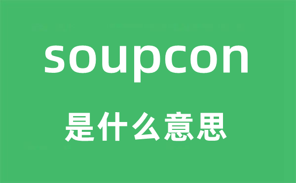 soupcon是什么意思,soupcon怎么读,中文翻译是什么