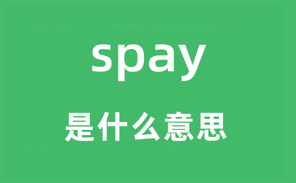 spay是什么意思,spay怎么读,中文翻译是什么