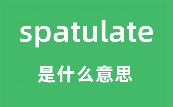 spatulate是什么意思,spatulate怎么读,中文翻译是什么