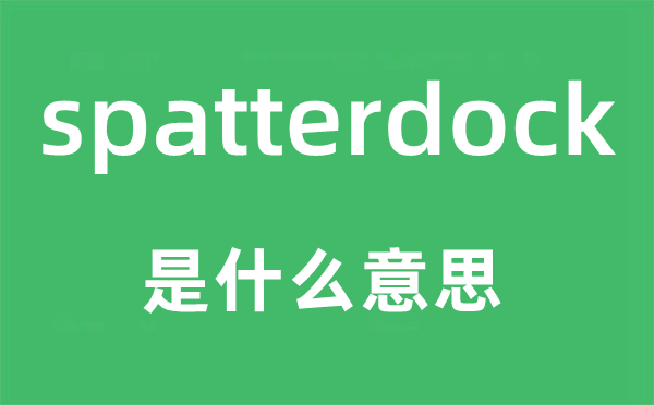 spatterdock是什么意思,spatterdock怎么读,中文翻译是什么