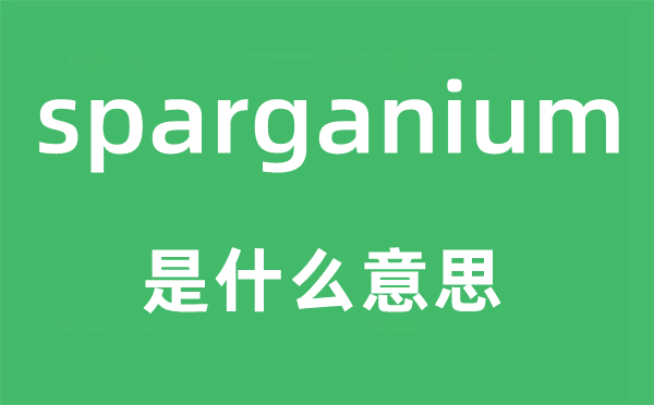 sparganium是什么意思,sparganium怎么读,中文翻译是什么