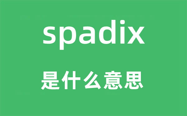 spadix是什么意思,spadix怎么读,中文翻译是什么