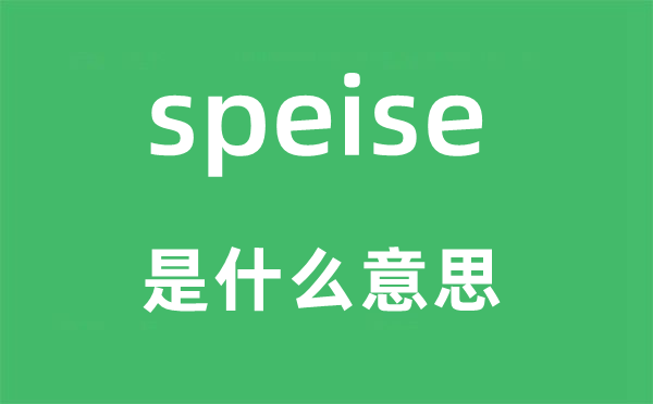 speise是什么意思,speise怎么读,中文翻译是什么