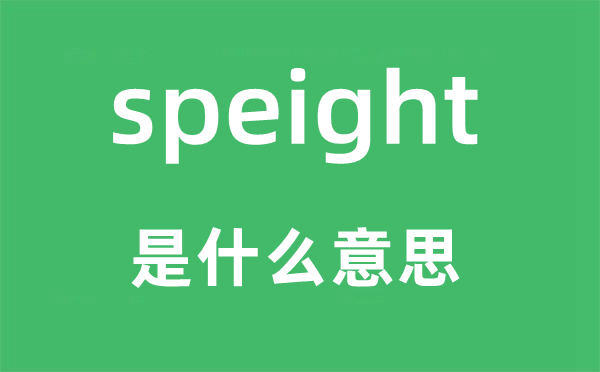 speight是什么意思,speight怎么读,中文翻译是什么