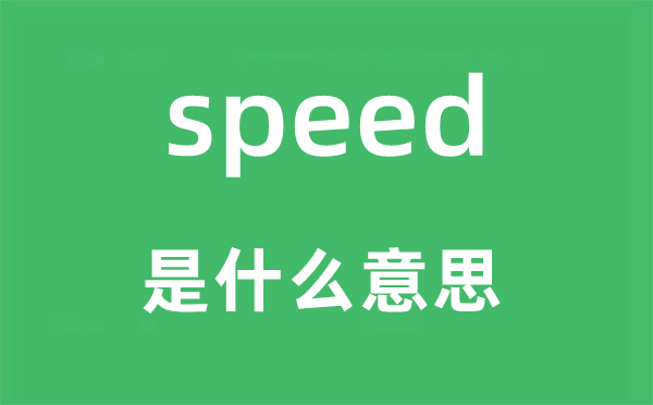 speed是什么意思,speed怎么读,中文翻译是什么