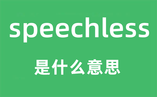 speechless是什么意思,speechless怎么读,中文翻译是什么