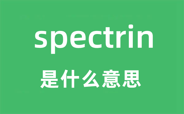 spectrin是什么意思,spectrin怎么读,中文翻译是什么