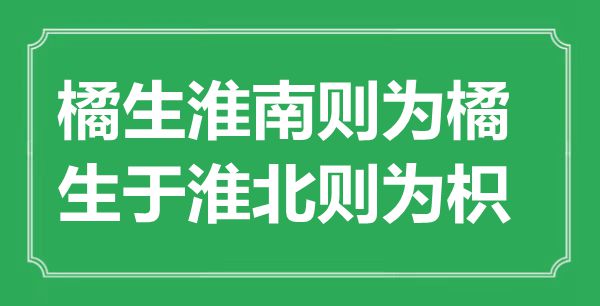 “橘生淮南则为橘，生于淮北则为枳”的意思出处及全文赏析