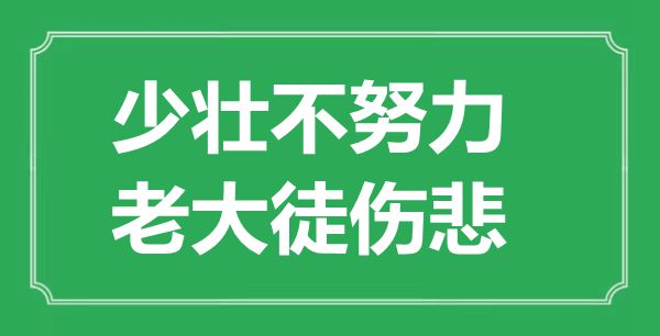 “少壮不努力，老大徒伤悲”的意思是什么,出处是哪首诗