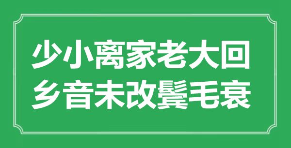 “少小离家老大回，乡音未改鬓毛衰”的意思是什么,出处是哪首诗