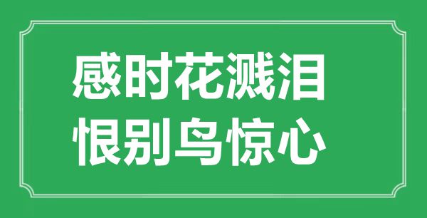 “感时花溅泪，恨别鸟惊心”的意思出处及全诗赏析