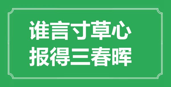 “谁言寸草心，报得三春晖”是什么意思,出处是哪里