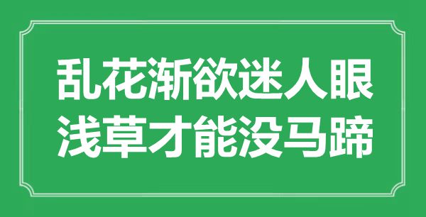 “乱花渐欲迷人眼，浅草才能没马蹄”是什么意思,出处是哪里