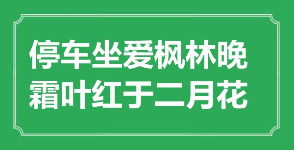 “停车坐爱枫林晚，霜叶红于二月花”是什么意思,出处是哪里