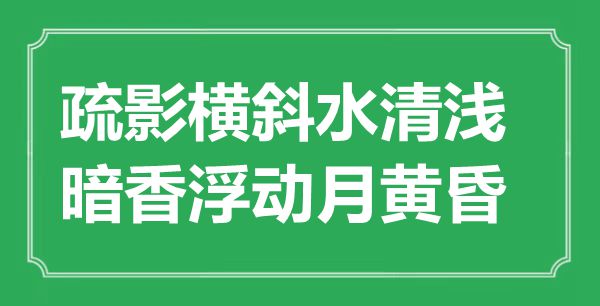 “疏影横斜水清浅，暗香浮动月黄昏”是什么意思,出处是哪里