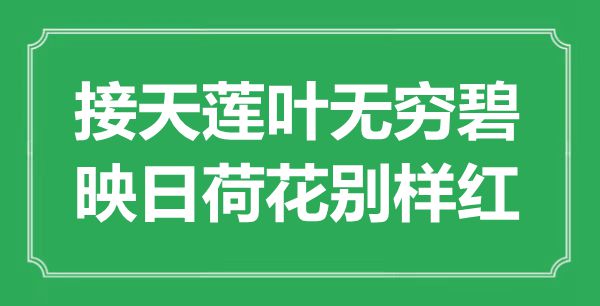 ““接天莲叶无穷碧，映日荷花别样红”是什么意思_出处是哪里