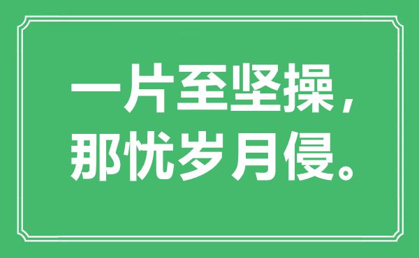 “一片至坚操，那忧岁月侵”是什么意思,出处是哪里