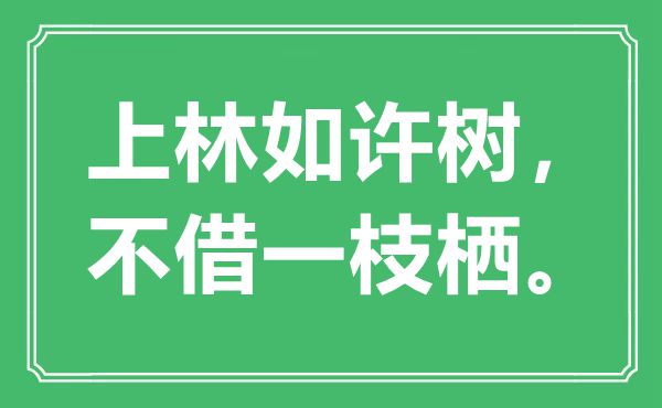 “上林如许树，不借一枝栖”是什么意思,出处是哪里